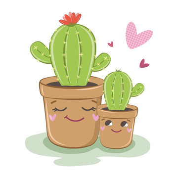 Vector image of cactus. Family of cacti. Vector illustration. Plants