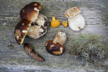  Fresh Swiss mushrooms