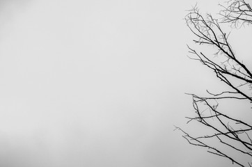 walk through the autumn city