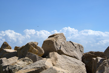 若洲海浜公園の岩礁