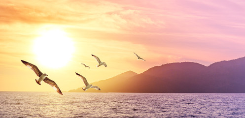 Sea sunset on The Greek islands in summer. Wide panorama of seascape - golden sunrise over the coastline with flying seagulls.