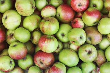 Background of apples