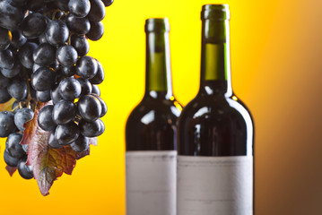 Grapes and red wine.