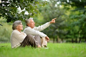 Fototapeta premium Portrait of elderly couple in summer park