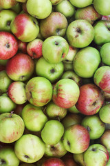Background of apples