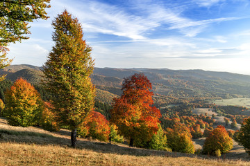 Landscape with hills covered by forests in the autumn season