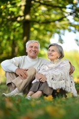 Naklejka na ściany i meble Portrait of elderly couple in summer park