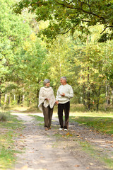Senior couple walking in autumn park together