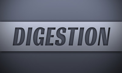 digestion - word on silver background