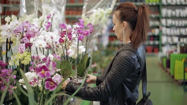 The woman in the supermarket, in the Department of garden and house plants choose indoor flower pot
