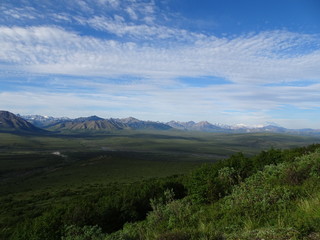 Denali National Park