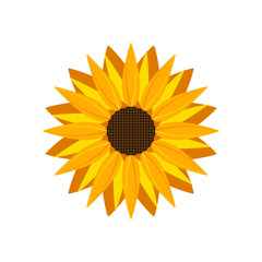 Sunflower icon vector isolated. Yellow sunflower blossom nature flower illustration for summer