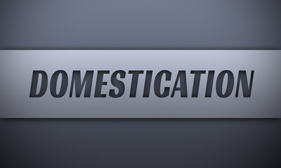 domestication - word on silver background