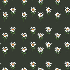 Seamless pattern with daisies on green background.