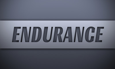 Endurance - word on silver background