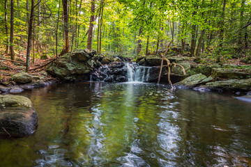 Apshawa Falls in a suburban nature preserve in NJ is surrounded by lush green forest on a summer afternoon