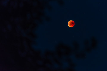 Mond