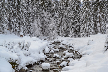 Winter