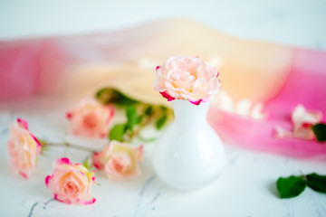 Fototapeta na wymiar pink roses on a light background