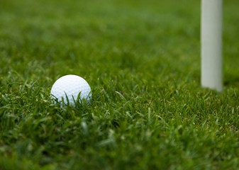 Golf Ball Close to the Hole