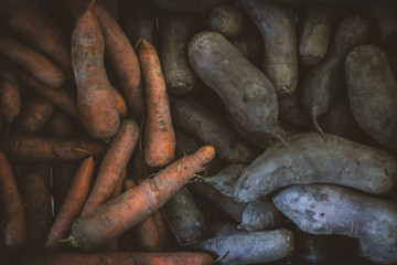 Beetroots and Carrots © Anna