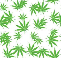 Cannabis or Marijuana Seamless Pattern with Leavevs Isolated on White.
