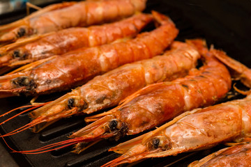 row of whole large langoustine set of fresh seafood closeup on grill grill background