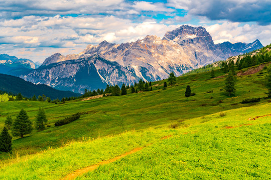 View of the Dolomites mountain with the hill of flowers field