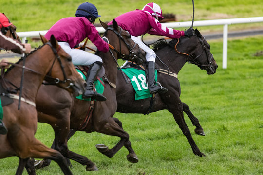 Close up on race horses and jockeys galloping at speed towards the finish line