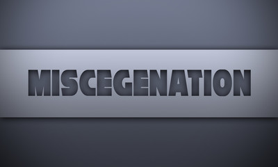 Fototapeta premium miscegenation - word on silver background