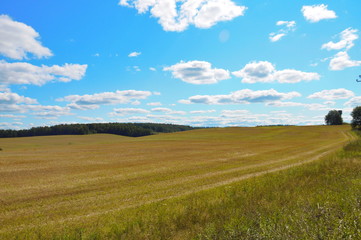 field in central Russia