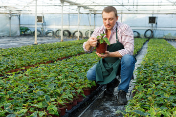 Farmer demonstrating flowerpot with young plant