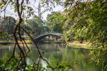 Ibirapuera's bridge with trees in the background and a big lake in the ground, in São Paulo. City, tourism, peaceful place, parks, is the concept