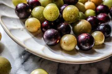 Muscato muscadine sweet green bronze and purple black grape on white marble board