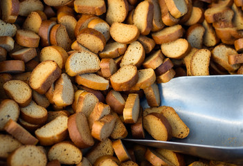 Dried up bread croutons from white bread.