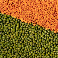orange and green lentils background square
