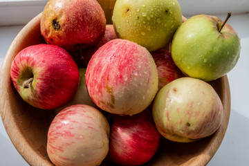 a group of fresh apples from the garden
