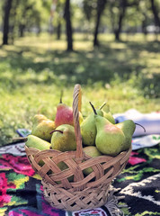 fresh ripe pears in a basket for picnic