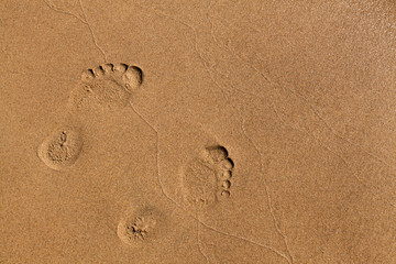 Fototapeta na wymiar Footprints of bare feet in the sand on a river bank