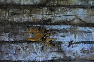 old wood texture background