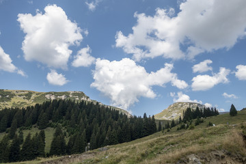 View from Bucegi mountains,  Romania,  Bucegi National Park
