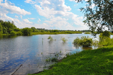 Fototapeta na wymiar river in the spring