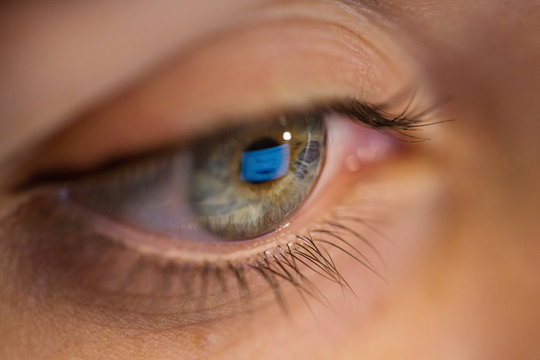 vision, business and education concept - close up of woman eye looking at computer screen