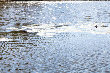 bright sun glitter on sutface of water in pond
