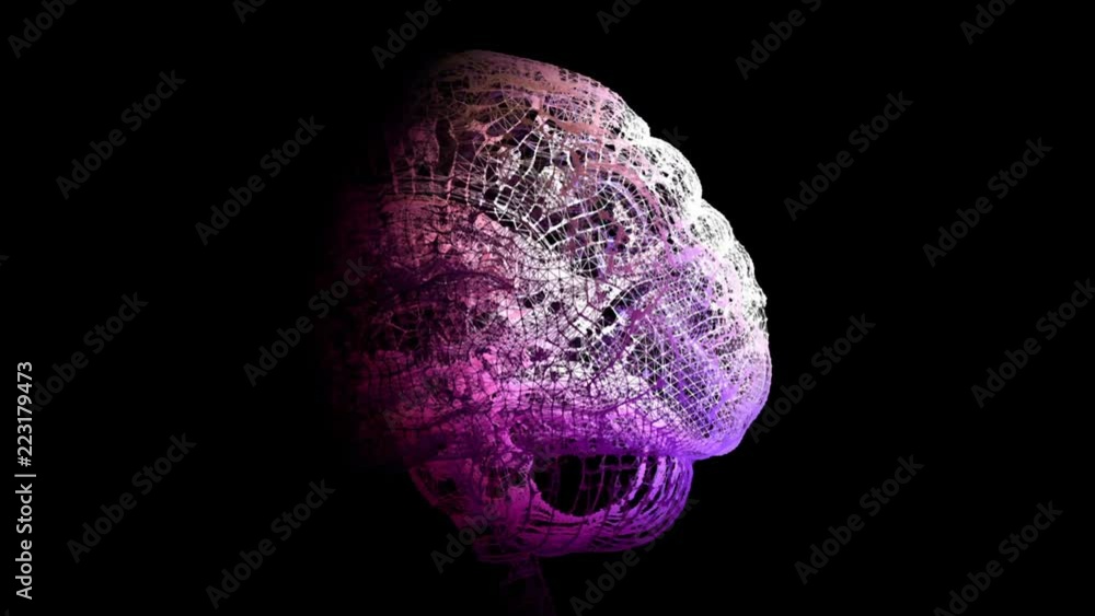 Poster rotating brain. rear highlighted part.