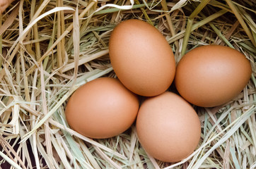 Fresh farm eggs on a straw background.