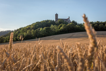 Burg Ludwigstein im Sommer