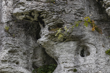 rocks near the Ogrodzieniec castle in southern Poland