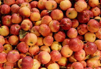 Fruits in a supermarket - apples.