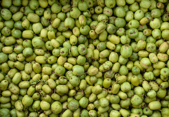 Green and unripe walnut in market.